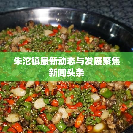 朱沱鎮(zhèn)最新動(dòng)態(tài)與發(fā)展聚焦新聞?lì)^條