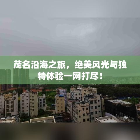 茂名沿海之旅，絕美風光與獨特體驗一網(wǎng)打盡！