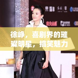 徐崢，喜劇界的璀璨明星，搞笑魅力引爆全網(wǎng)！