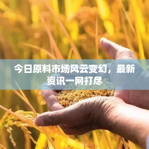 今日原料市場(chǎng)風(fēng)云變幻，最新資訊一網(wǎng)打盡