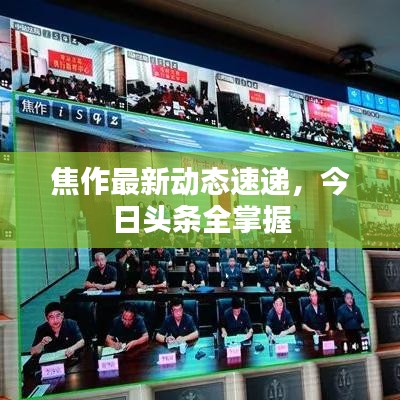 焦作最新動(dòng)態(tài)速遞，今日頭條全掌握