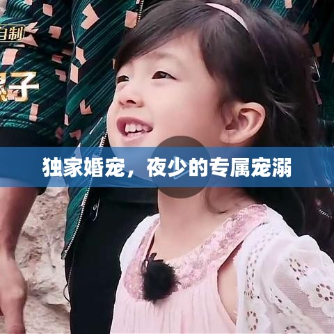 獨家婚寵，夜少的專屬寵溺