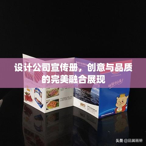 設(shè)計公司宣傳冊，創(chuàng)意與品質(zhì)的完美融合展現(xiàn)