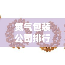氮氣包裝公司排行榜TOP榜及行業(yè)深度分析