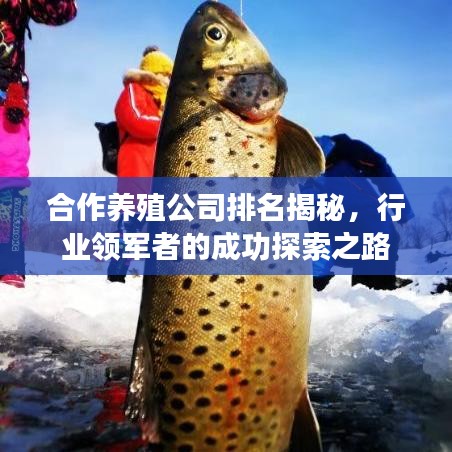 合作養(yǎng)殖公司排名揭秘，行業(yè)領(lǐng)軍者的成功探索之路