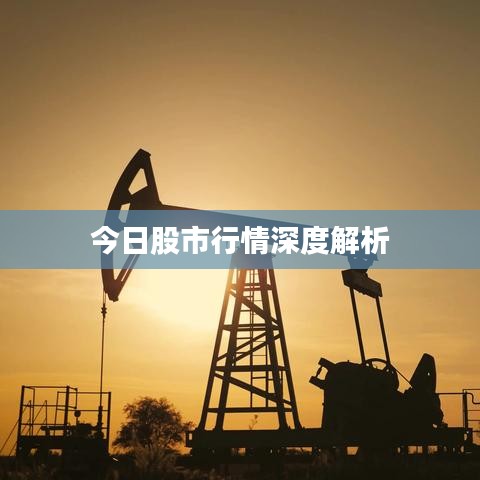 今日股市行情深度解析