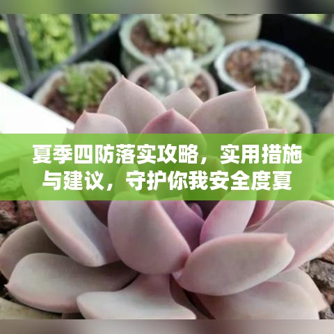 夏季四防落實(shí)攻略，實(shí)用措施與建議，守護(hù)你我安全度夏