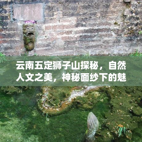云南五定獅子山探秘，自然人文之美，神秘面紗下的魅力之旅