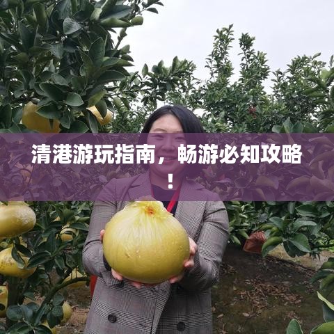 清港游玩指南，暢游必知攻略！
