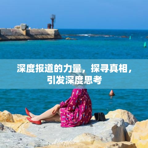 深度報(bào)道的力量，探尋真相，引發(fā)深度思考