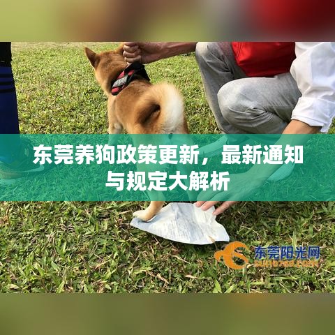 東莞養(yǎng)狗政策更新，最新通知與規(guī)定大解析