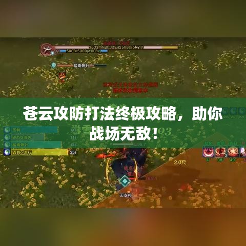 蒼云攻防打法終極攻略，助你戰(zhàn)場(chǎng)無敵！
