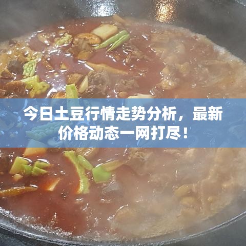 今日土豆行情走勢(shì)分析，最新價(jià)格動(dòng)態(tài)一網(wǎng)打盡！