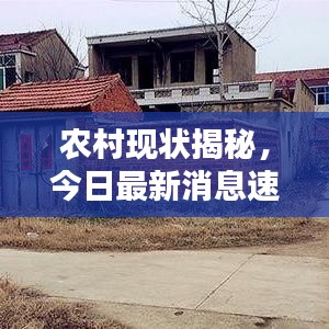 農村現狀揭秘，今日最新消息速遞