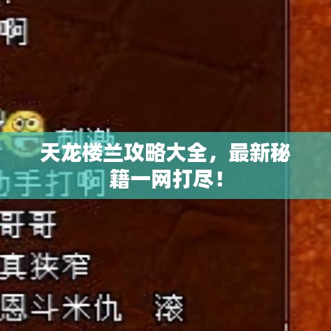 一毫不茍 第3頁