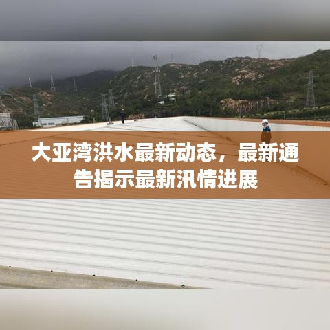 大亞灣洪水最新動(dòng)態(tài)，最新通告揭示最新汛情進(jìn)展