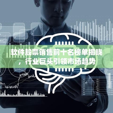 軟件股票銷售前十名榜單揭曉，行業(yè)巨頭引領(lǐng)市場(chǎng)趨勢(shì)