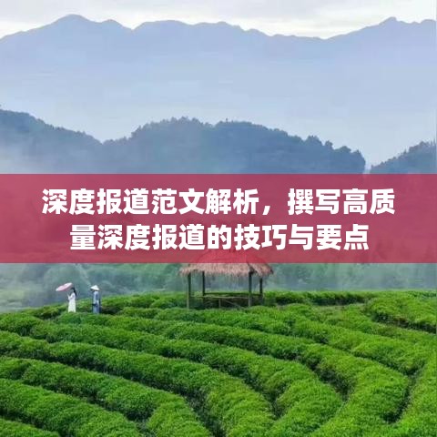 深度報道范文解析，撰寫高質(zhì)量深度報道的技巧與要點