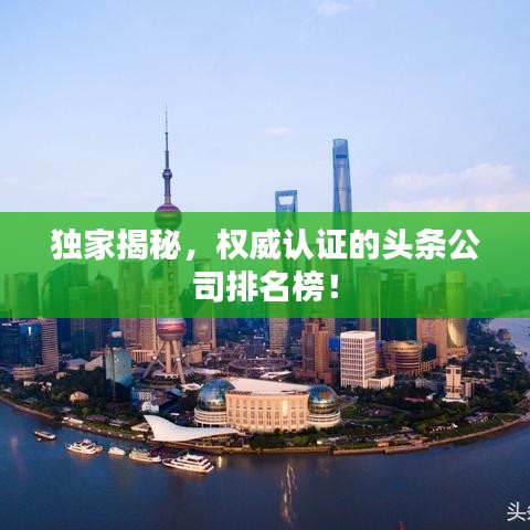 獨家揭秘，權(quán)威認(rèn)證的頭條公司排名榜！