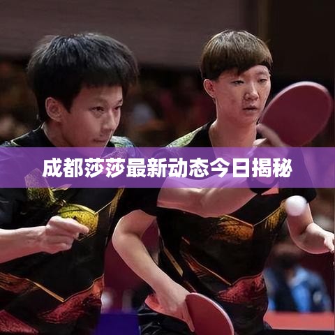 成都莎莎最新動(dòng)態(tài)今日揭秘