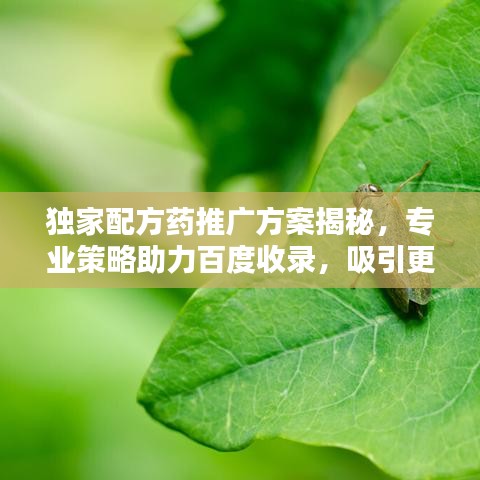 獨(dú)家配方藥推廣方案揭秘，專業(yè)策略助力百度收錄，吸引更多目光！