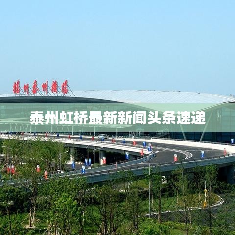 泰州虹橋最新新聞頭條速遞