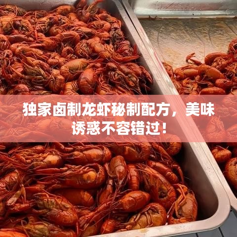 獨家鹵制龍蝦秘制配方，美味誘惑不容錯過！