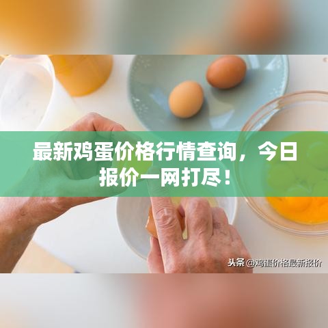 最新雞蛋價(jià)格行情查詢，今日?qǐng)?bào)價(jià)一網(wǎng)打盡！