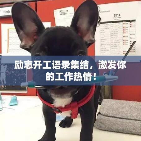 勵(lì)志開工語錄集結(jié)，激發(fā)你的工作熱情！