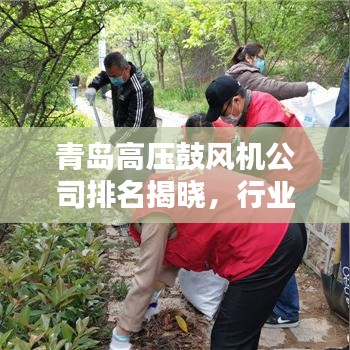 青島高壓鼓風(fēng)機(jī)公司排名揭曉，行業(yè)領(lǐng)軍者榜單出爐！