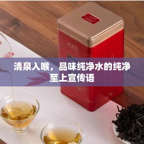 清泉入喉，品味純凈水的純凈至上宣傳語(yǔ)