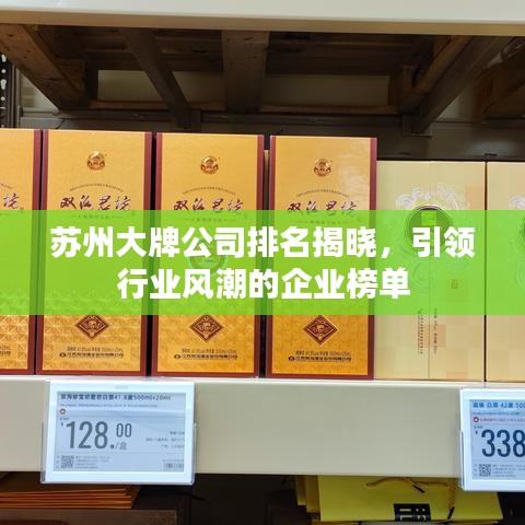 蘇州大牌公司排名揭曉，引領(lǐng)行業(yè)風(fēng)潮的企業(yè)榜單