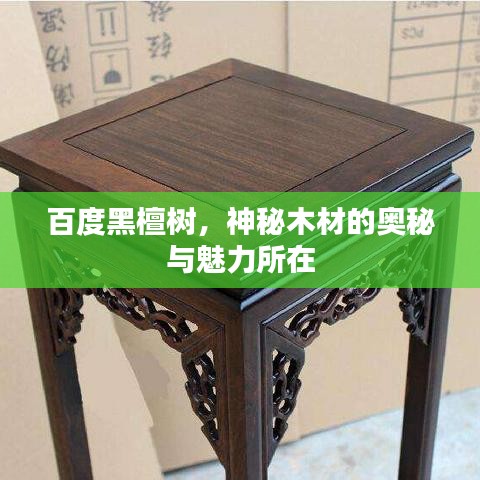 百度黑檀樹(shù)，神秘木材的奧秘與魅力所在