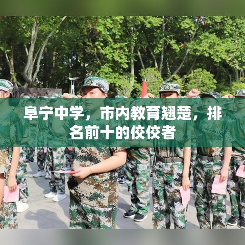 阜寧中學(xué)，市內(nèi)教育翹楚，排名前十的佼佼者
