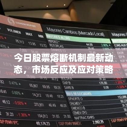 今日股票熔斷機(jī)制最新動(dòng)態(tài)，市場(chǎng)反應(yīng)及應(yīng)對(duì)策略揭秘