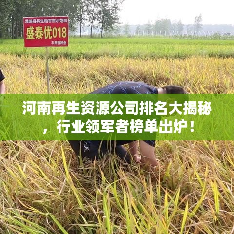 河南再生資源公司排名大揭秘，行業(yè)領(lǐng)軍者榜單出爐！