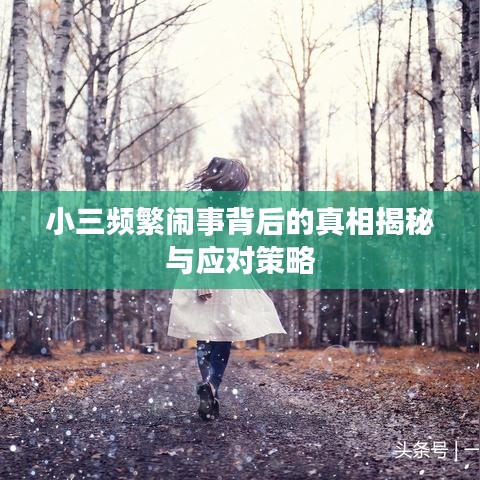 小三頻繁鬧事背后的真相揭秘與應對策略