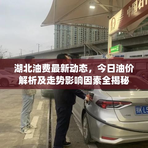 湖北油費(fèi)最新動(dòng)態(tài)，今日油價(jià)解析及走勢(shì)影響因素全揭秘