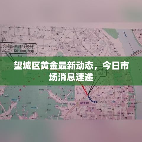 望城區(qū)黃金最新動態(tài)，今日市場消息速遞