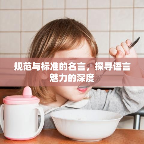 規(guī)范與標(biāo)準(zhǔn)的名言，探尋語言魅力的深度