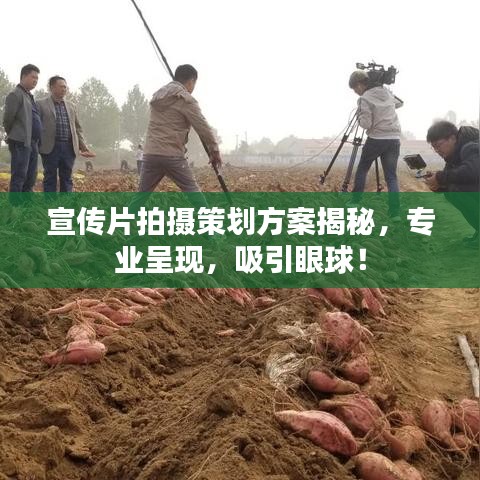 宣傳片拍攝策劃方案揭秘，專業(yè)呈現(xiàn)，吸引眼球！