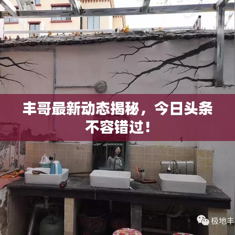 豐哥最新動(dòng)態(tài)揭秘，今日頭條不容錯(cuò)過(guò)！