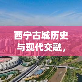 西寧古城歷史與現(xiàn)代交融，頭條新聞直播盛況