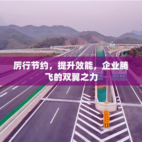 厲行節(jié)約，提升效能，企業(yè)騰飛的雙翼之力