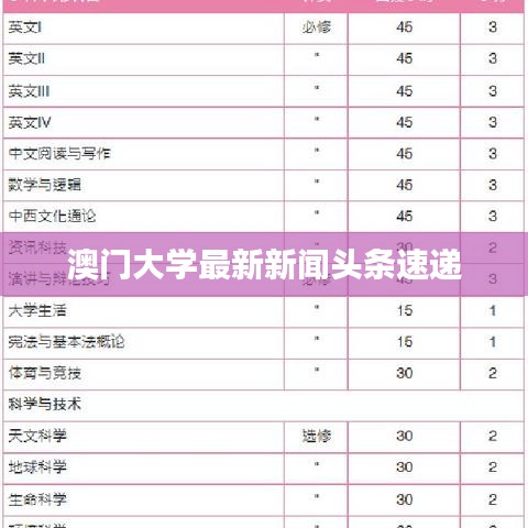 澳門大學最新新聞頭條速遞