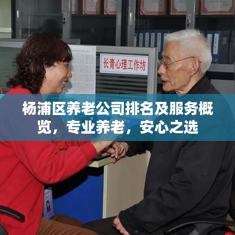 楊浦區(qū)養(yǎng)老公司排名及服務(wù)概覽，專業(yè)養(yǎng)老，安心之選