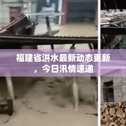 就湯下面 第3頁