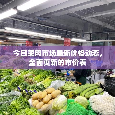 今日菜肉市場最新價格動態(tài)，全面更新的市價表