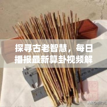 探尋古老智慧，每日播報最新算卦視頻解讀現(xiàn)代生活