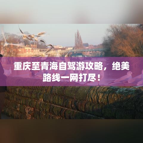 重慶至青海自駕游攻略，絕美路線一網(wǎng)打盡！